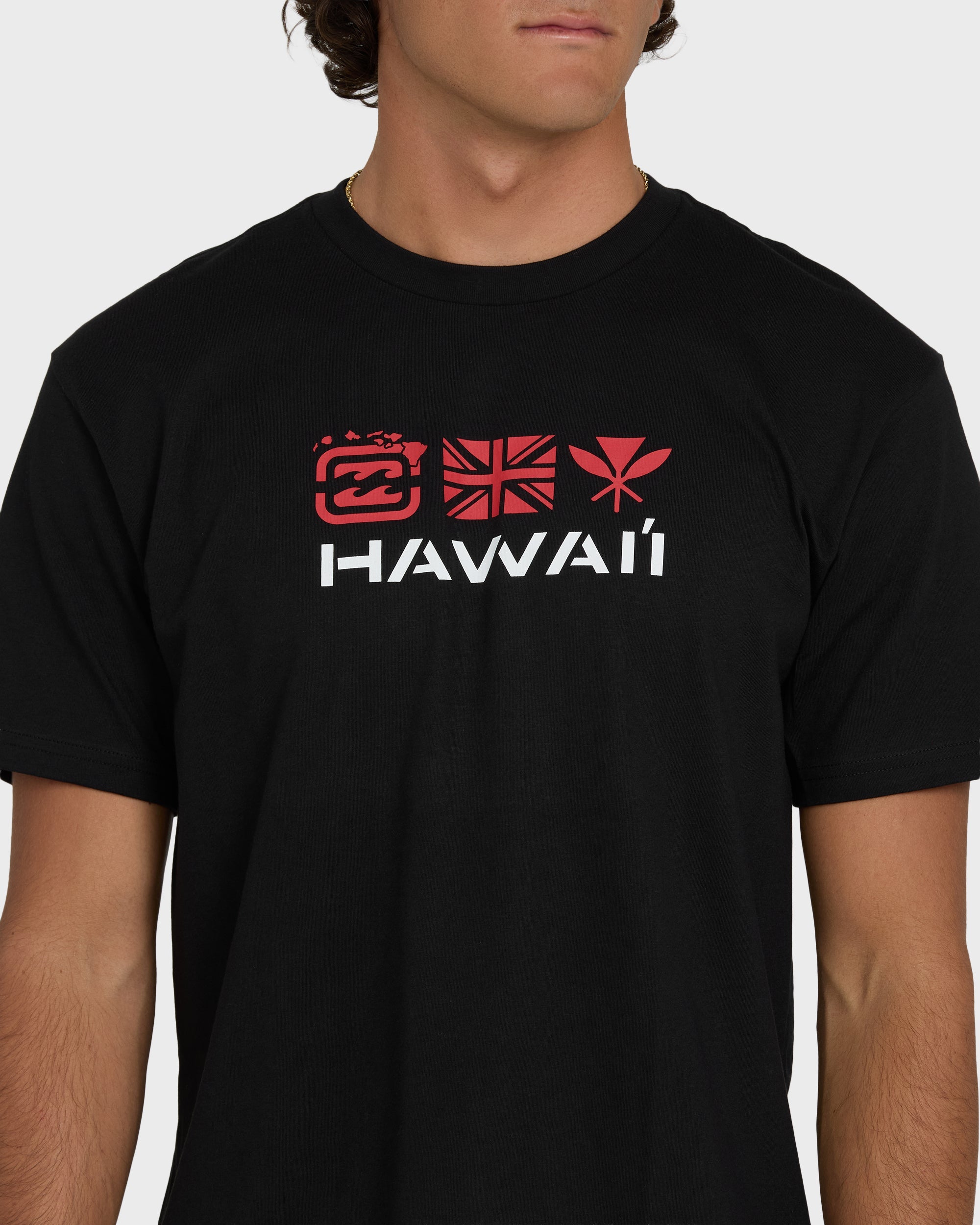 Kahili Hawaii Regular Short Sleeve Tee - Black - Image 4